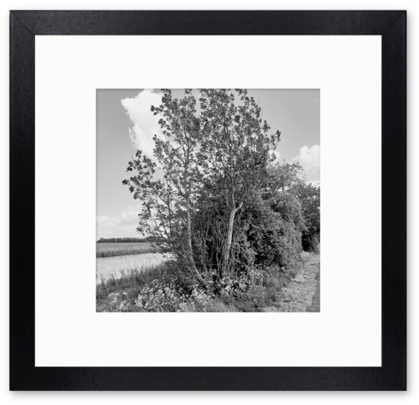 62 Foto z/w - Groenelaan 2020
