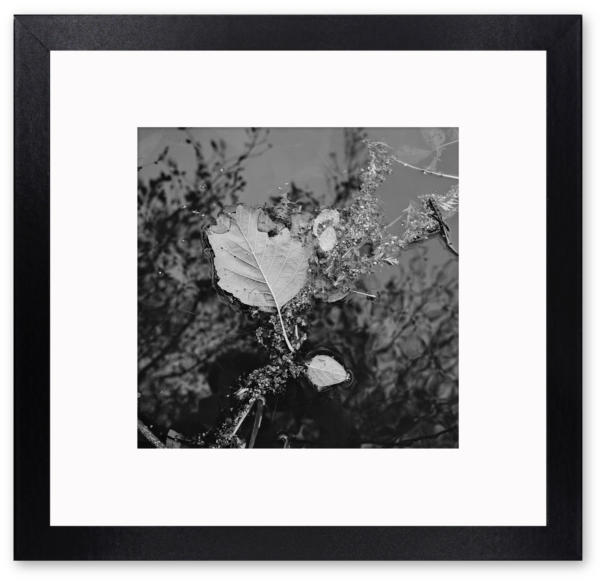 66 Foto z/w - Mentaweg #2 2022