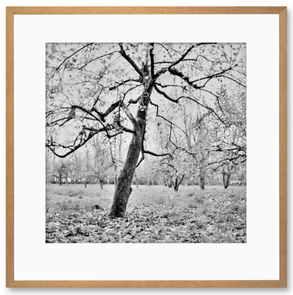 01 Foto z/w - Allersmaborg 2019