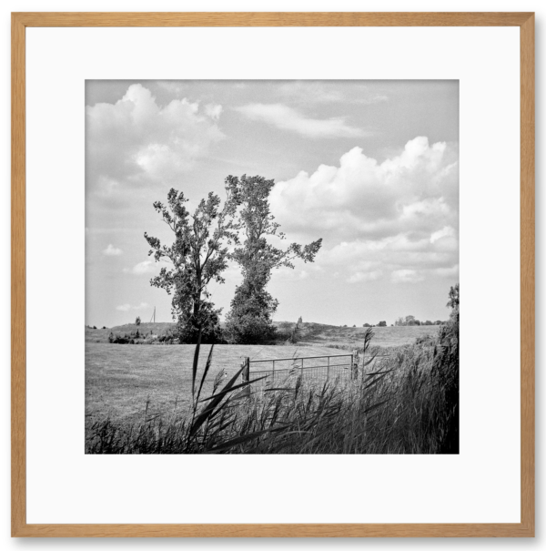 02 Foto z/w - Aduarderzijl 2019