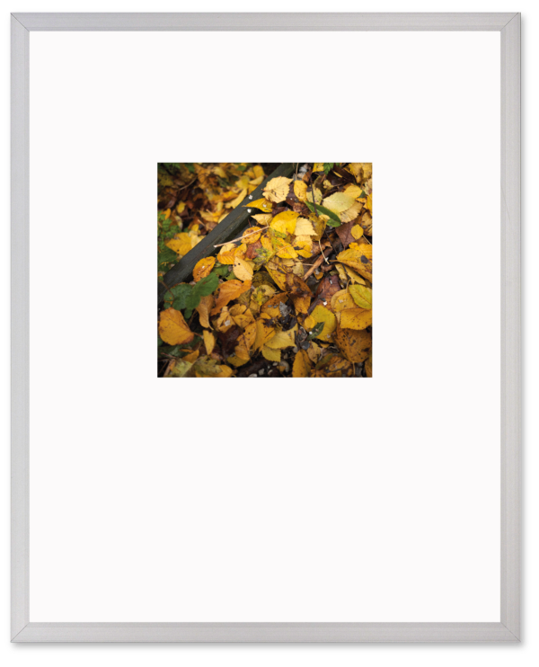 14 Foto kleur - #1 Allersmaborg 2019
