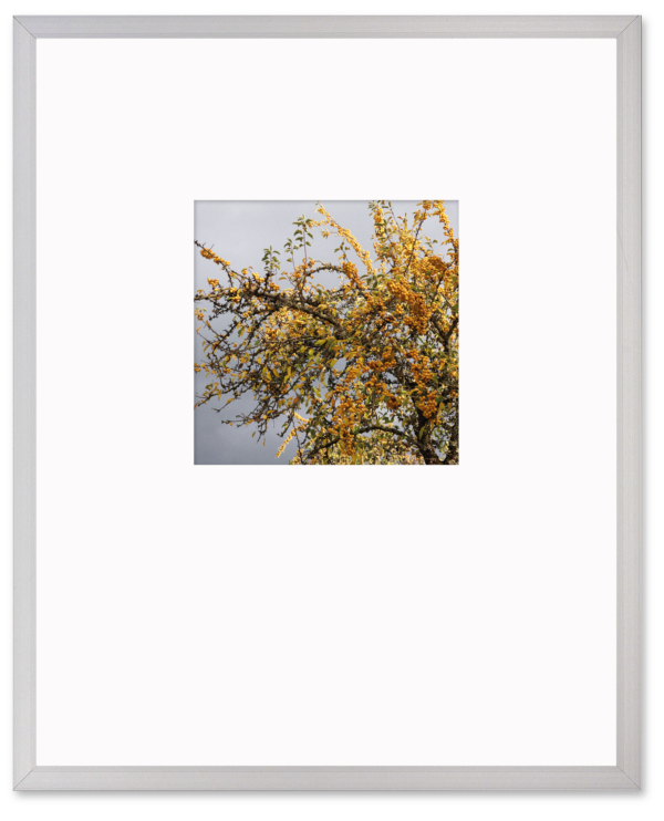 16 Foto kleur - #3 Garnwerd 2020