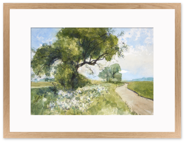 51 Aquarel - Het fietspad 2025